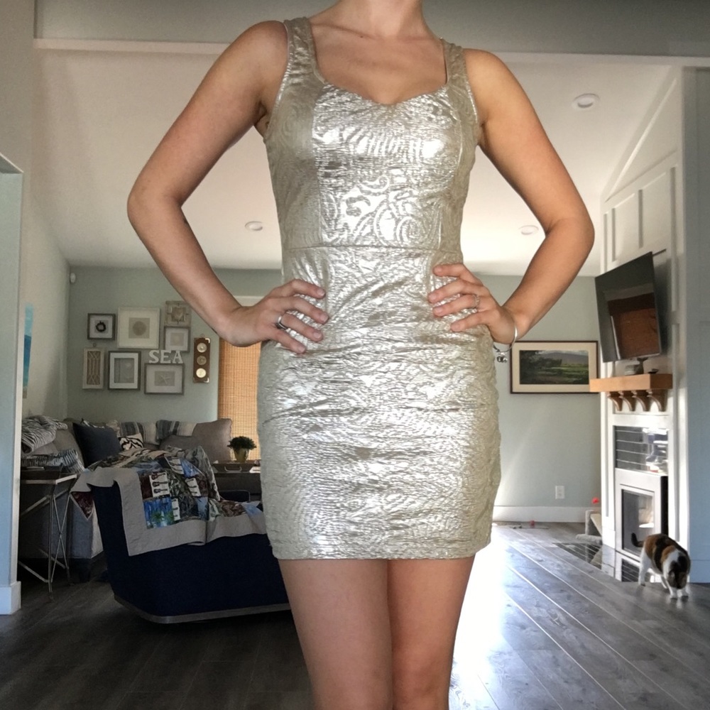 NWOT Arden B Dress